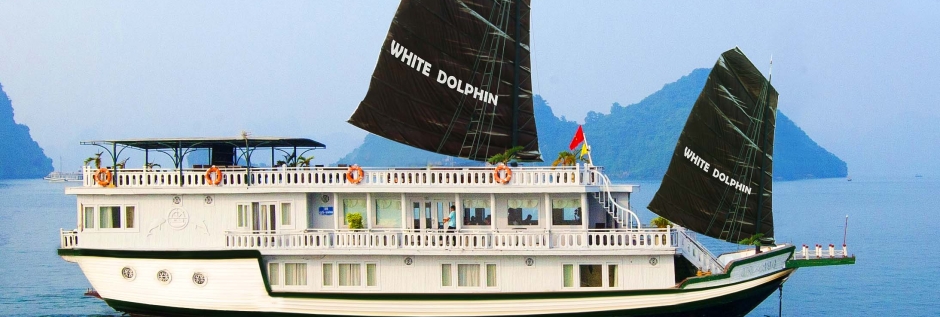 white-dolphin-cruise